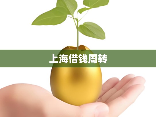 上海借钱周转