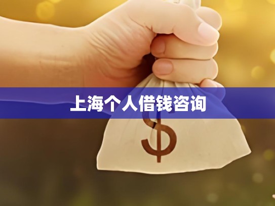 上海个人借钱咨询