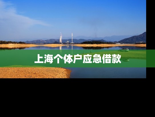 上海个体户应急借款