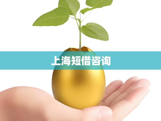上海短借咨询