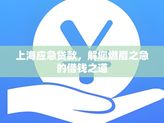 上海应急贷款，解您燃眉之急的借钱之道