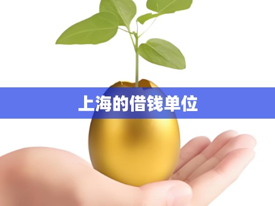 上海的借钱单位