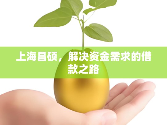 上海昌硕，解决资金需求的借款之路