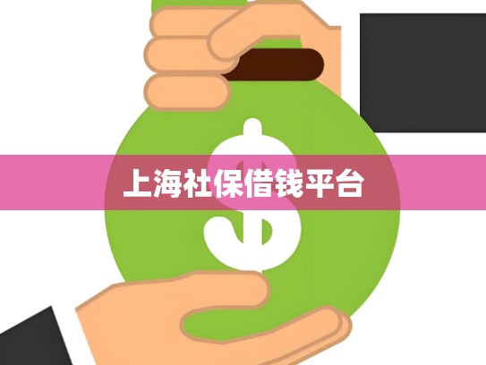 上海社保借钱平台