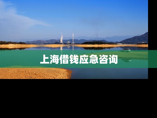 上海借钱应急咨询