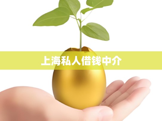 上海私人借钱中介