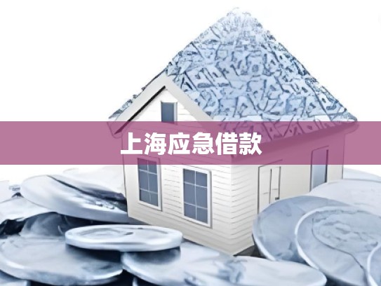 上海应急借款