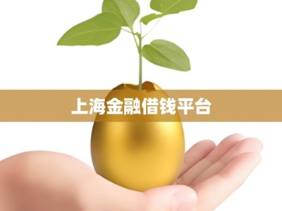 上海金融借钱平台